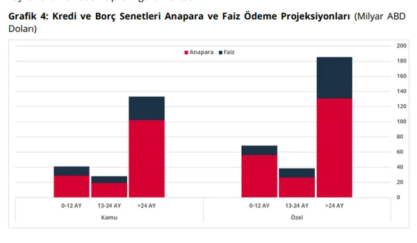 merkez-bankasi-acikladi-turkiyenin-kamu-ve-ozel-dis-borcu-belli-oldu-1787210255966.png