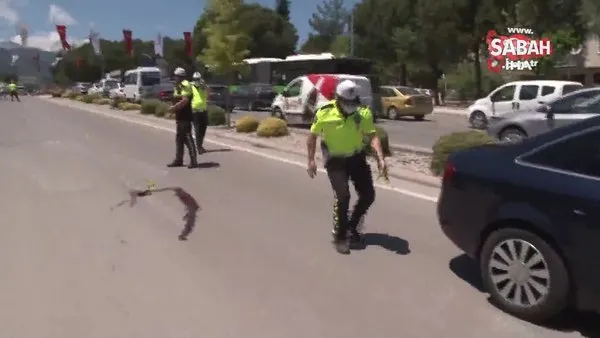 Otomobilin çarpmasıyla 40 metre öteye fırlayan genç kız kurtarılamadı | Video