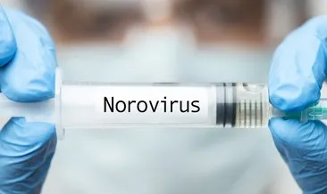 Bilim Kurulu Üyesi Prof. Dr. Yavuz’dan Norovirüs uyarısı