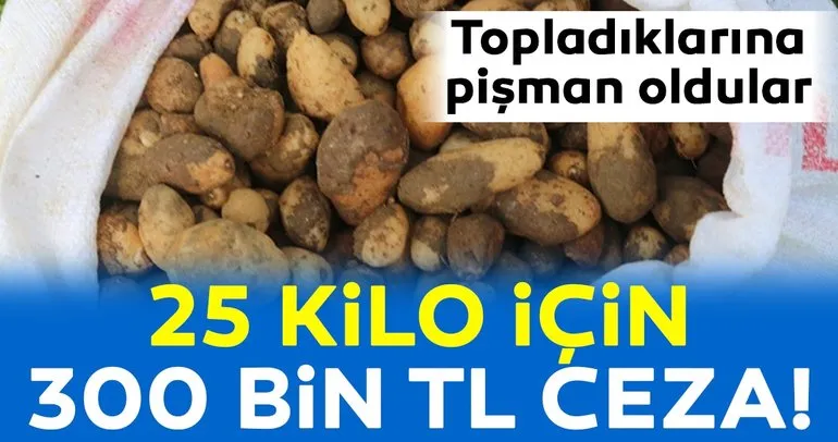 25 kilo salep soğanı için 300 bin TL ceza kesildi!