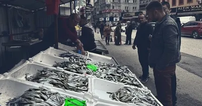 Av yasağı öncesi balık tezgahları canlandı! Fiyatı 60 TL’den...