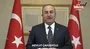 Bakan Çavuşoğlu'ndan Cumhuriyet Bayramı mesajı | Video