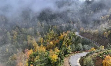 Karadeniz bir kez daha büyüledi! Sonbaharın en güzel renklerine bir de böyle bakın... #trabzon