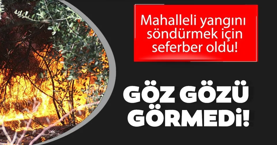 Bodrum U Duman Kapladi Goz Gozu Gormedi En Son Haber