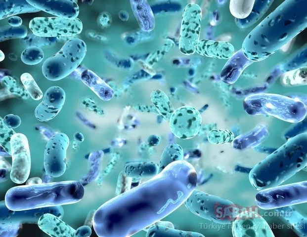 Bilim insanları açıkladı! Bakterilerin ölüm çığlığı böyle uyarıyor