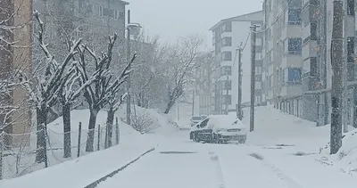 Bitlis’te bahar beklenirken kar geldi