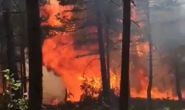 Reşadiye’de yangın yeniden başladı