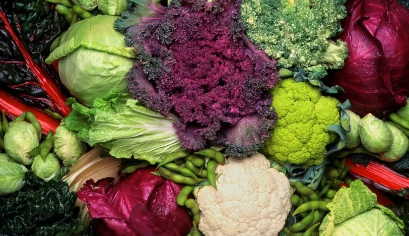 Bu 7 sebze DNA’yı etkiliyor!