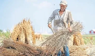 Yer fıstığı 10 susam 16 lira