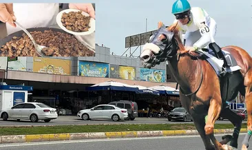 SON DAKİKA… CHP’li belediyenin aşevindeki kavurmadan yarış atı Smart Latch çıkmıştı! At eti skandalında çarpıcı gelişme… #osmaniye