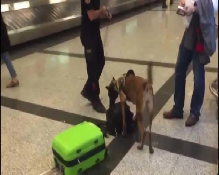 Son dakika haberi: Almanya'ya İstanbul'da jet misilleme!